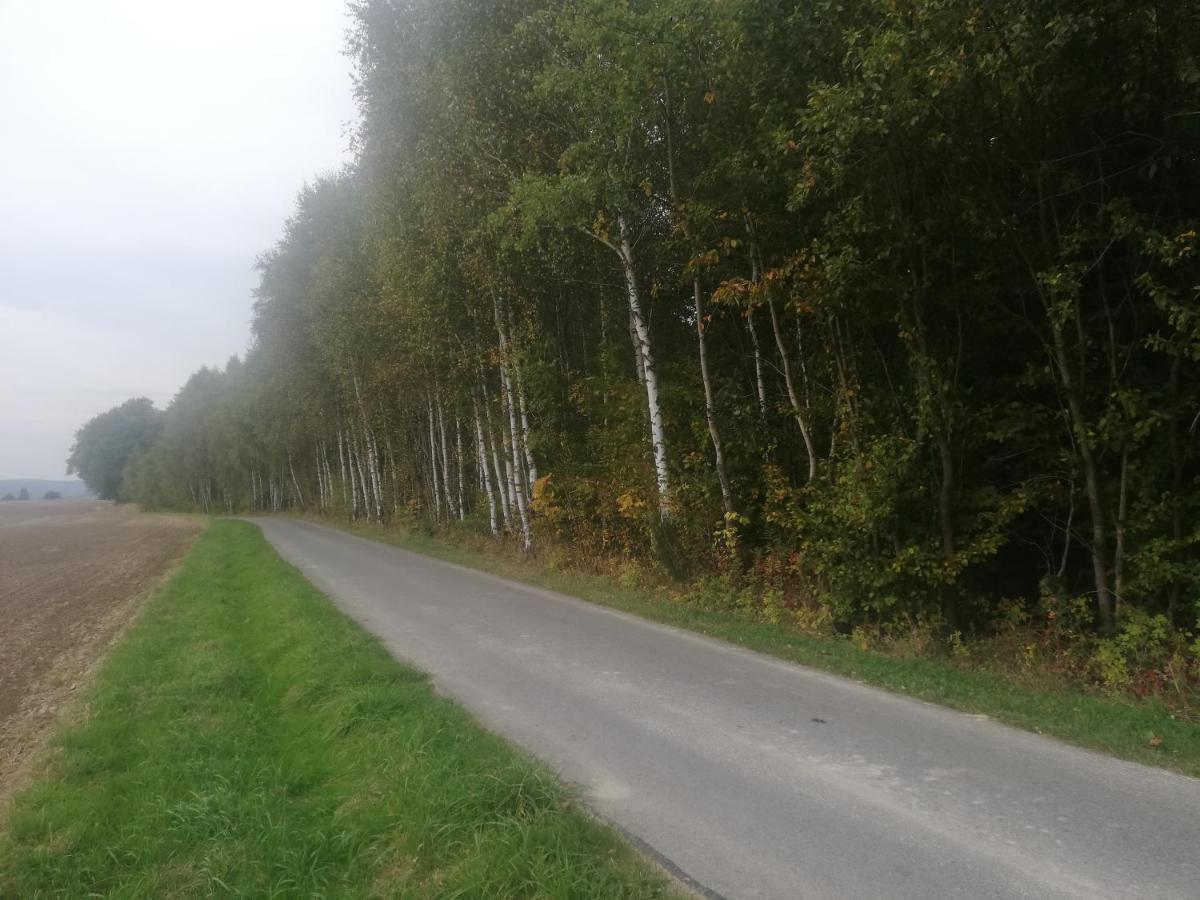 Domek alpejski Całoroczne Długoszówka Pod Rzeszowem Ruska Bania, Basen Zaborow (Strzyzow)